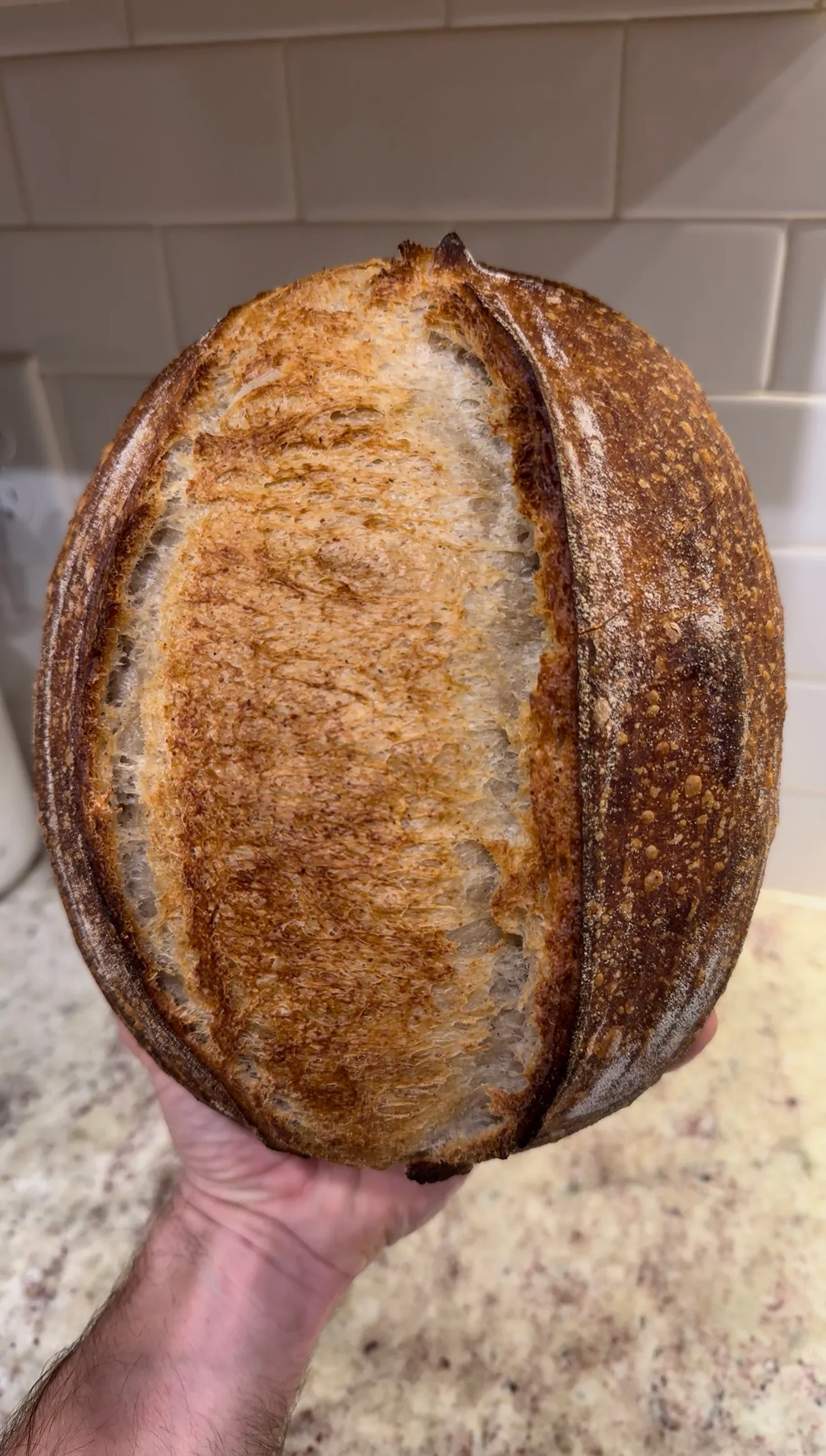 6h Cold Same-Day Loaf, photographed at scoring